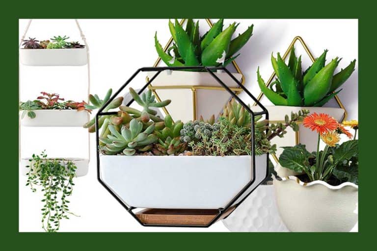 21 White Hanging Planters That Will Look Great on Your Wall