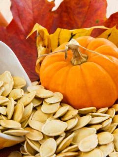Top 50 Online Stores for Pumpkin and Squash Seeds