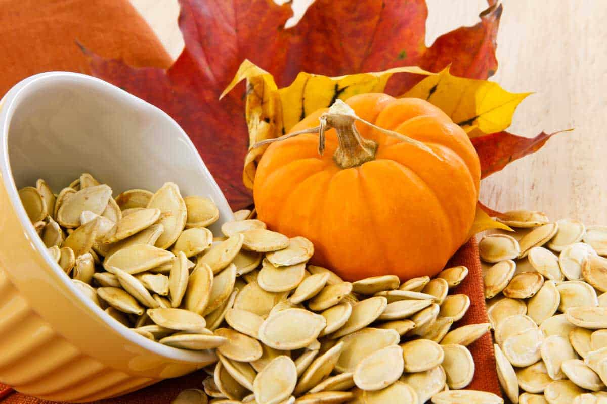 Top 50 Online Stores for Pumpkin and Squash Seeds