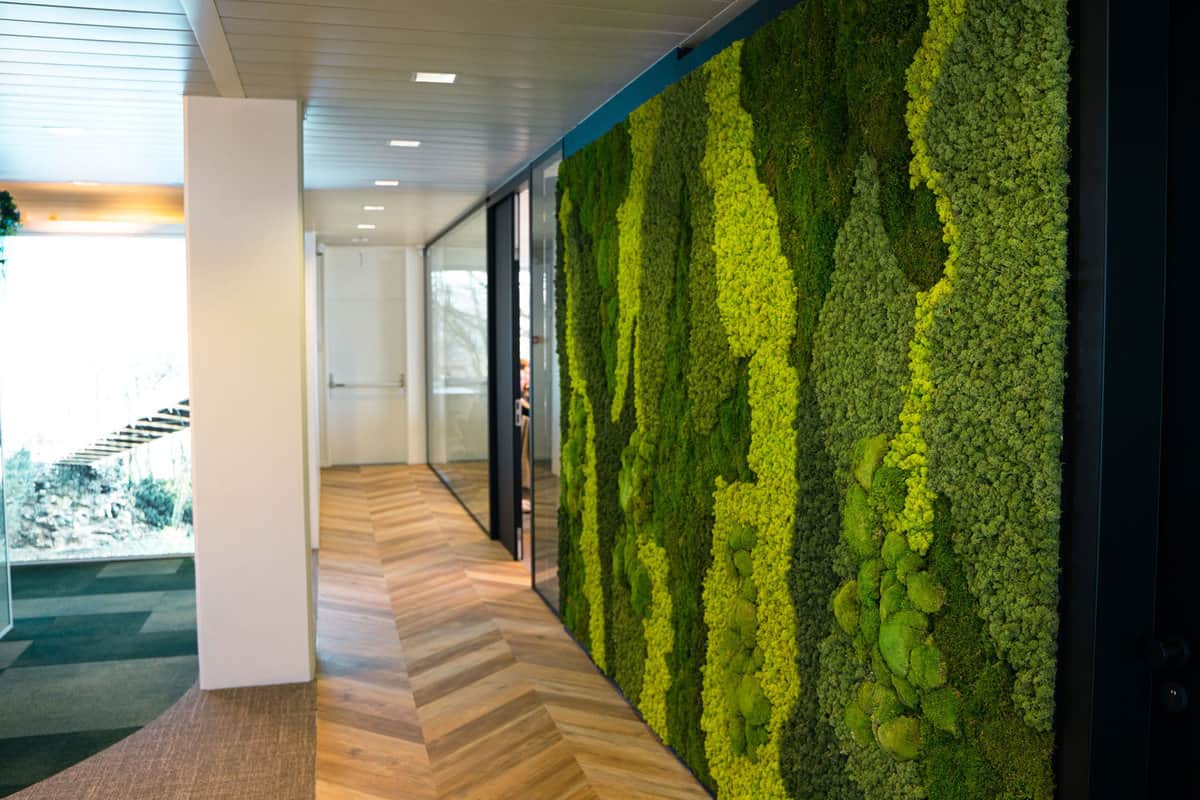 A wall decorated with high quality moss