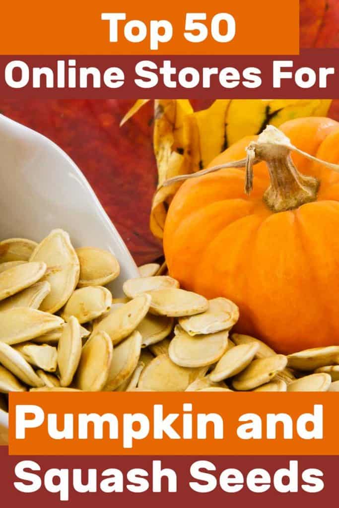 SUPERB EATING-15 SEEDS. Pumpkin CANADA CROOKNECK-Pumpkin Seeds-HIGHLY RATED