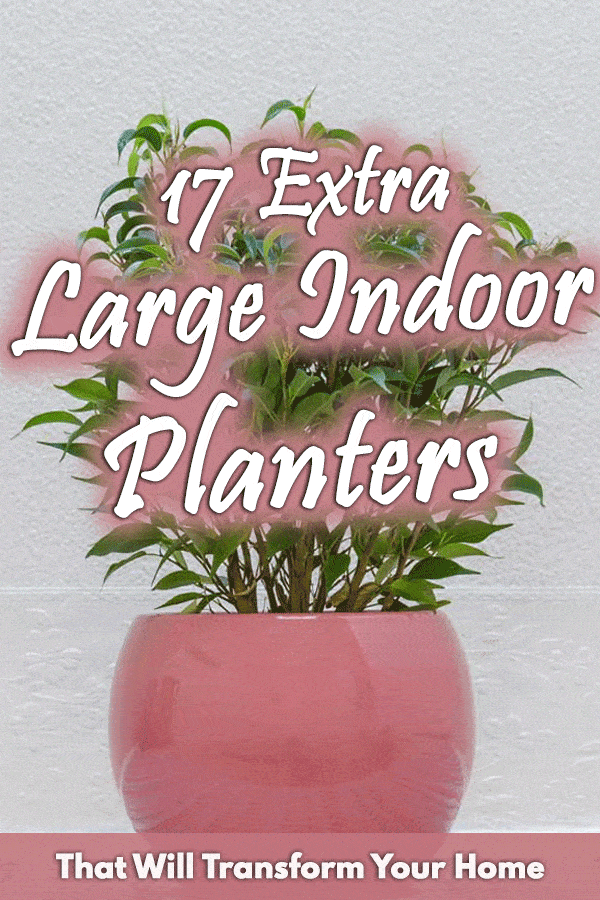 17 Extra Large Indoor Planters That Will Transform Your Home