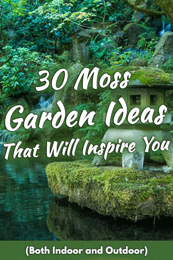 30 Moss Garden Ideas That Will Inspire You (Both Indoor and Outdoor)