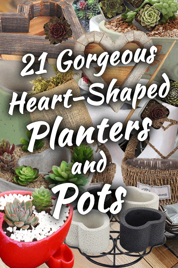 21 Gorgeous Heart-Shaped Planters and Pots