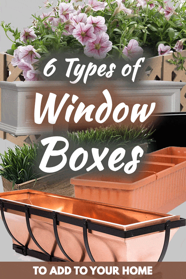 6 Types of Window Boxes to Add to Your Home