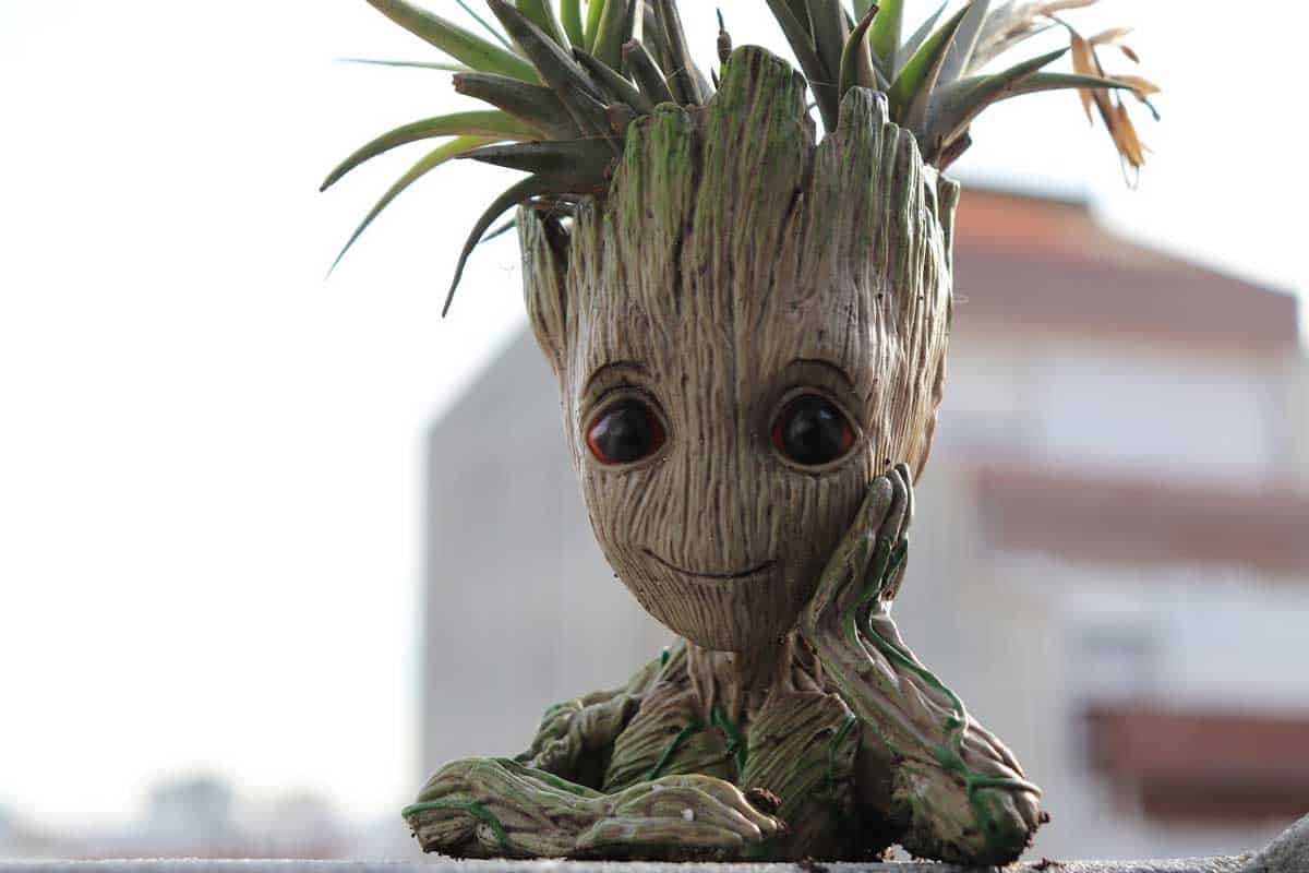 15 Groot Planters That Are Just Too Adorable | Pixabay Public Domain