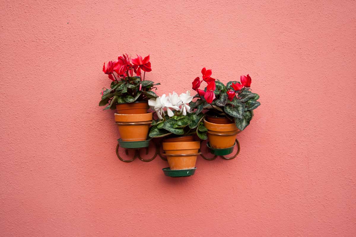 21 Small, Lightweight Planters for Your Vertical Garden