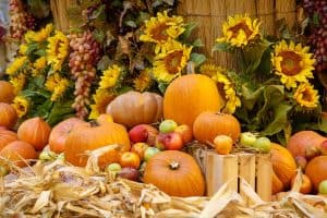 Read more about the article 73 Different Types Of Pumpkins That You Can Grow In Your Garden