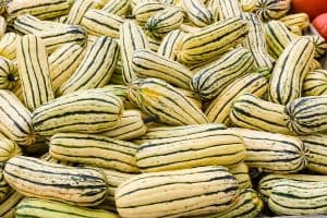Read more about the article How To Grow Delicata Squash
