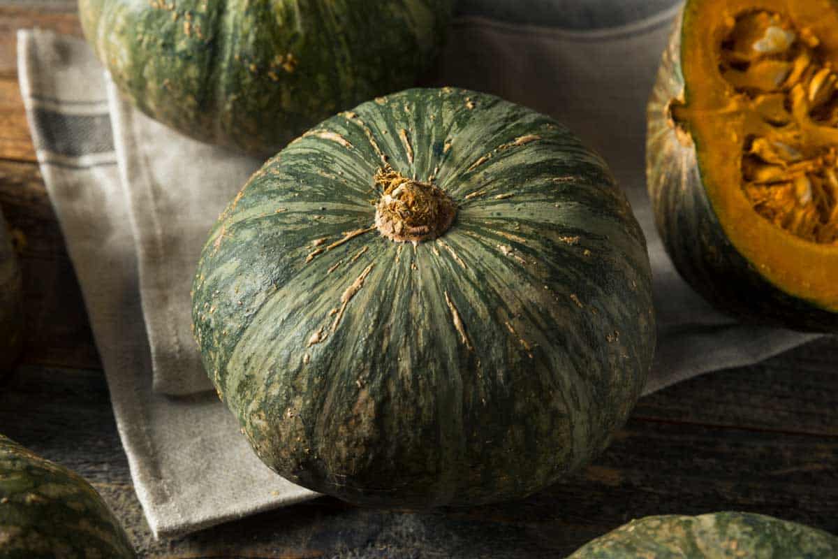 How to Grow Kabocha Squash (Tips, Images and Shopping Links)