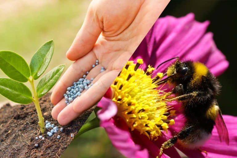 What Is the Difference Between Pollination and Fertilization