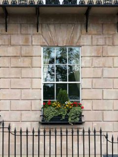 Where to Buy Window Boxes For Your Flowers (Online Stores Guide)
