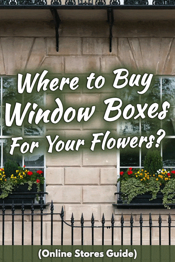 Where to Buy Window Boxes For Your Flowers? (Online Stores Guide)