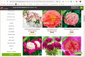 Brecks website product page for Peony Plants or Bulbs