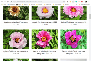 Cricket Hill Garden website product page for Peony Plants or Bulbs