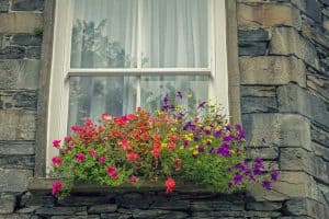 Read more about the article How To Choose The Right Window Box For Your Apartment