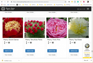 Peony Shop Holland website product page for Peony Plants or Bulbs