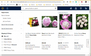 Walmart website product page for Peony Plants or Bulbs