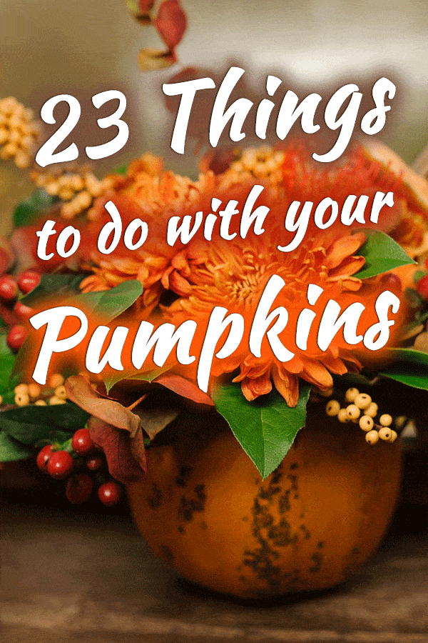23 Things To Do With Your Pumpkins