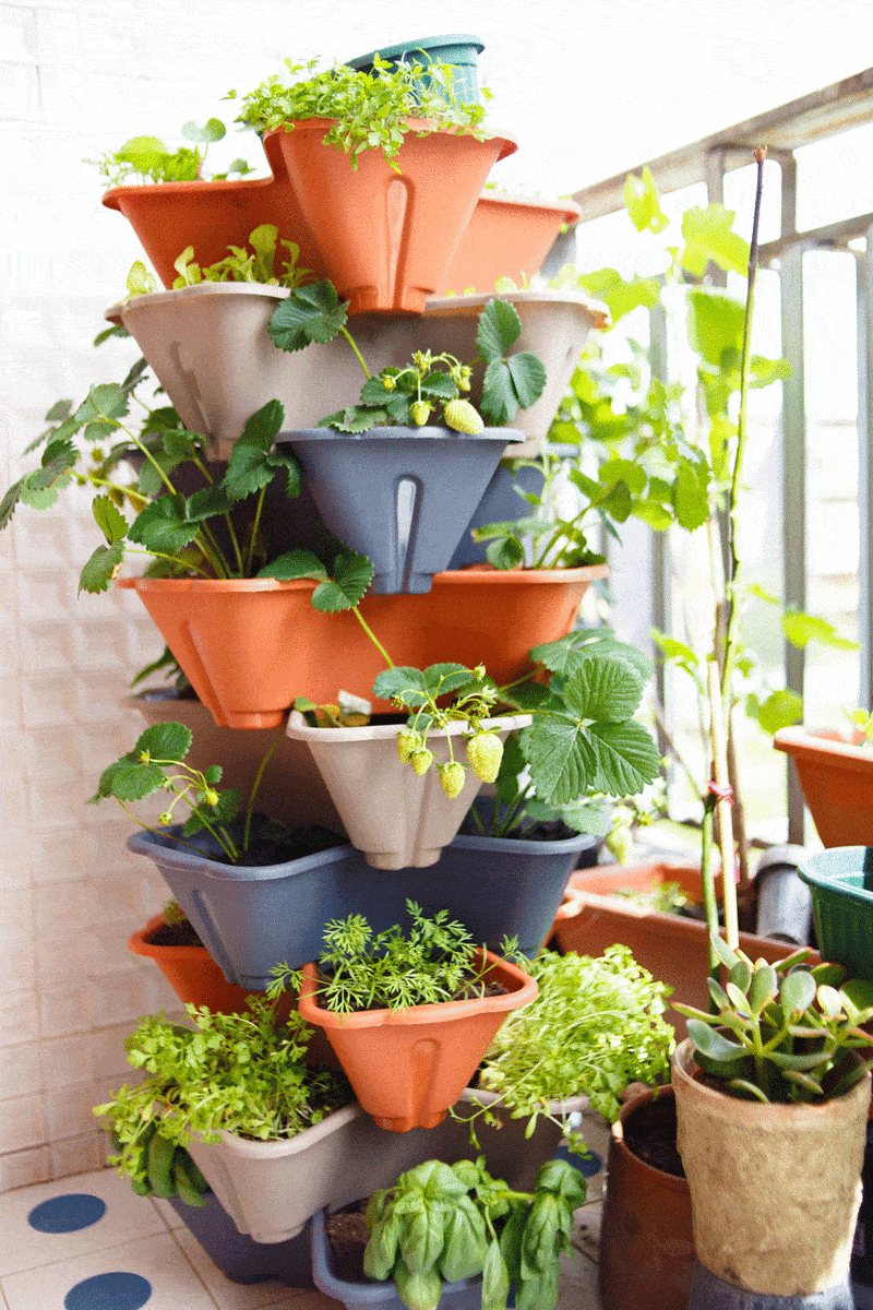 Balcony plants with colorful pots
