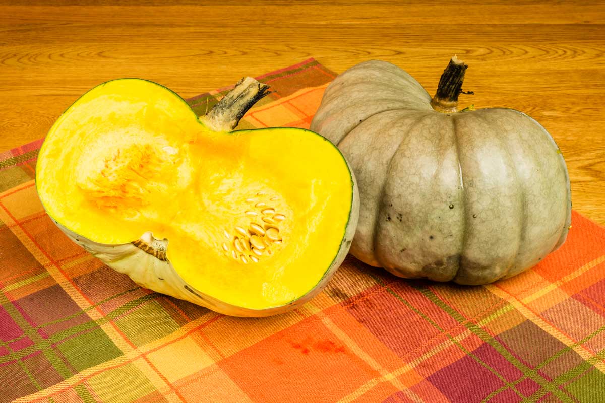 How to Grow Jarrahdale Pumpkins [Care Tips, Photos and More]