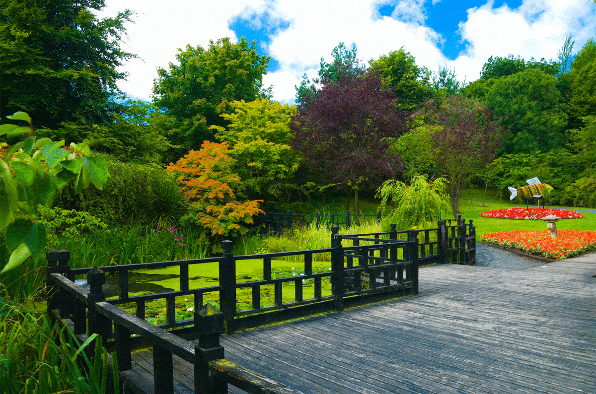 Formal garden in the oriental style with decking walkway