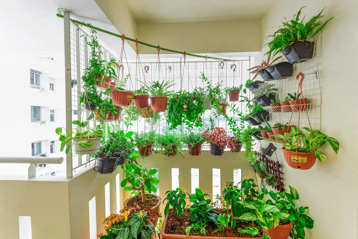 21 Stunning Balcony Garden Ideas That Will Inspire You   Garden Tabs