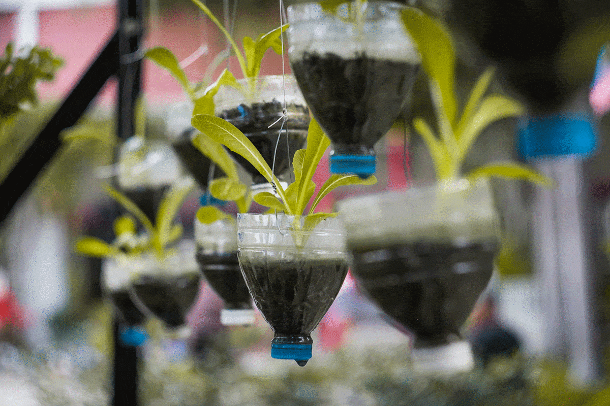 Hanging plastic bottle planters