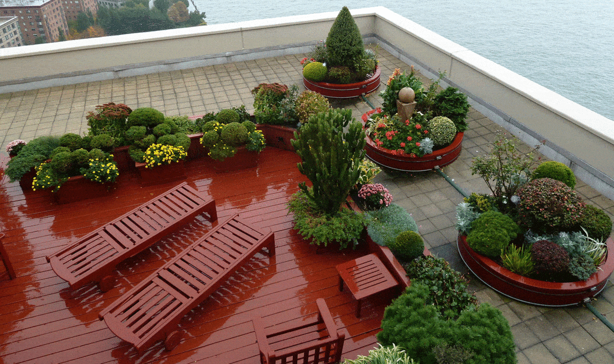 Nice rooftop garden