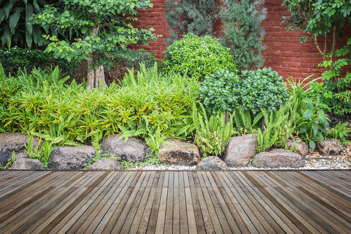 Old hardwood decking or flooring and decorative plants in garden