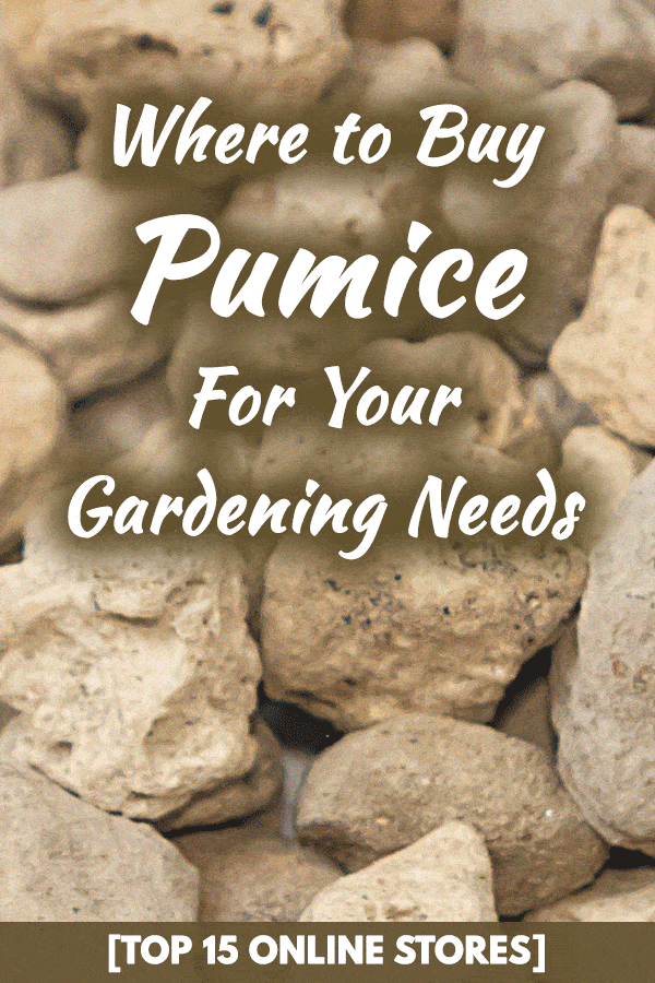 Where to Buy Pumice for Your Gardening Needs [Top 15 Online Stores]