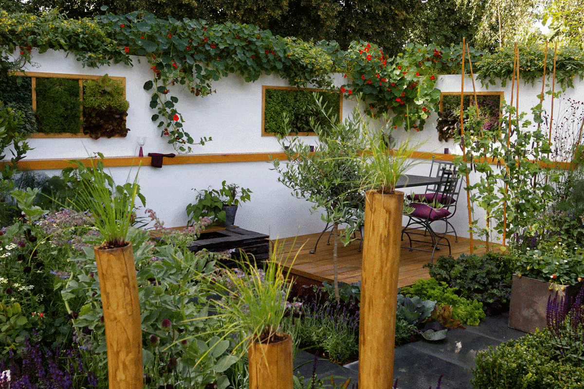 White walled garden with decking and bamboo posts with plants on top