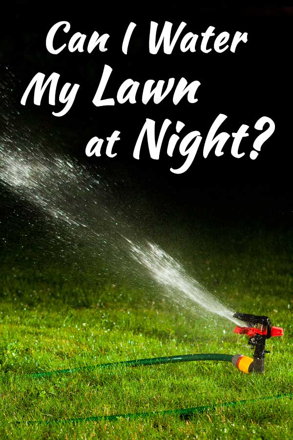 Can I Water My Lawn at Night?