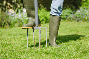 Read more about the article What’s The Best Time To Aerate And Overseed A Lawn?