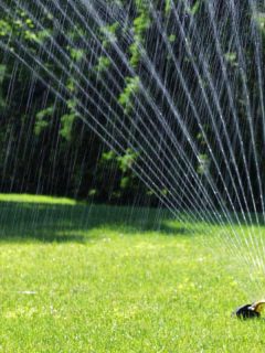 How Long to Water Lawn with Oscillating Sprinklers