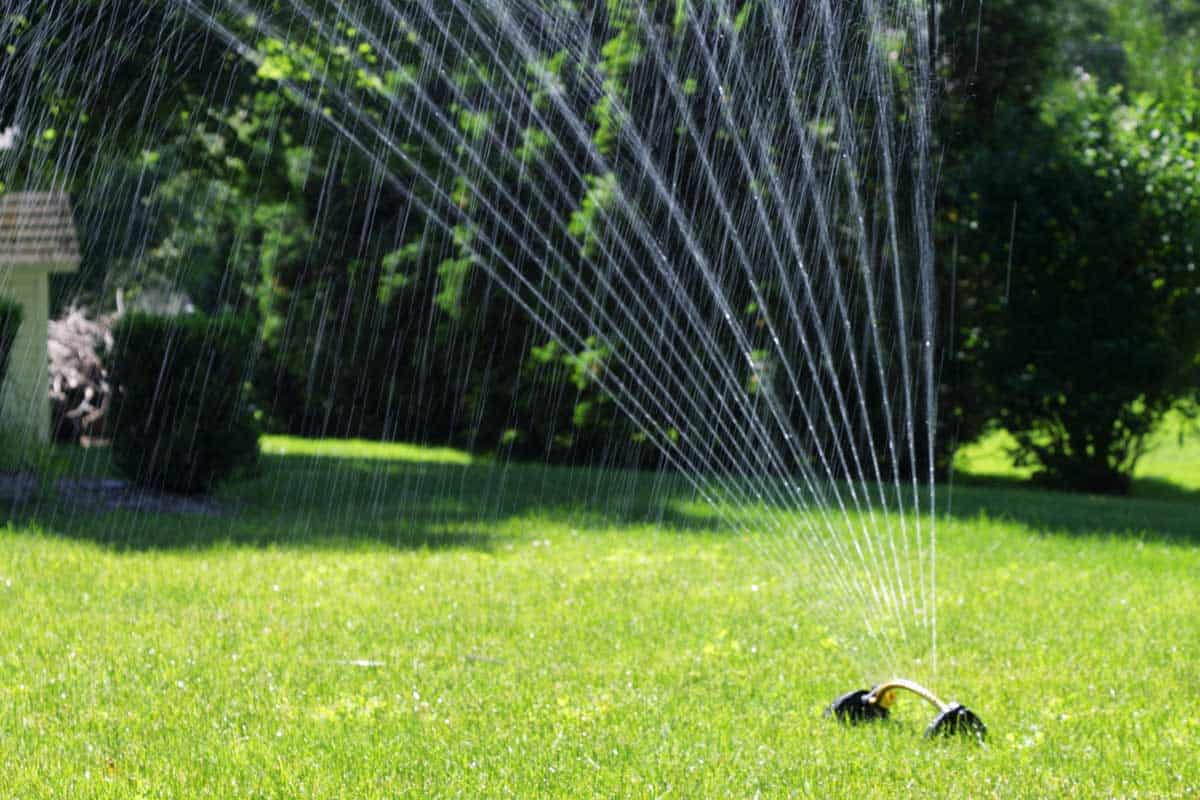 How Long to Water Lawn with Oscillating Sprinklers