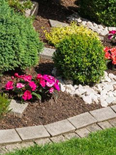Stone Garden Edging [Step-By-Step Guide, Picture Ideas and More]