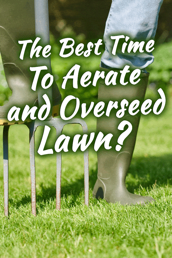 What's The Best Time To Aerate And Overseed A Lawn? Garden Tabs