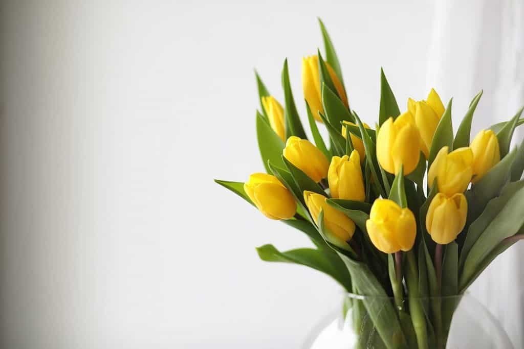 40+ Stunning Tulip Arrangement Ideas