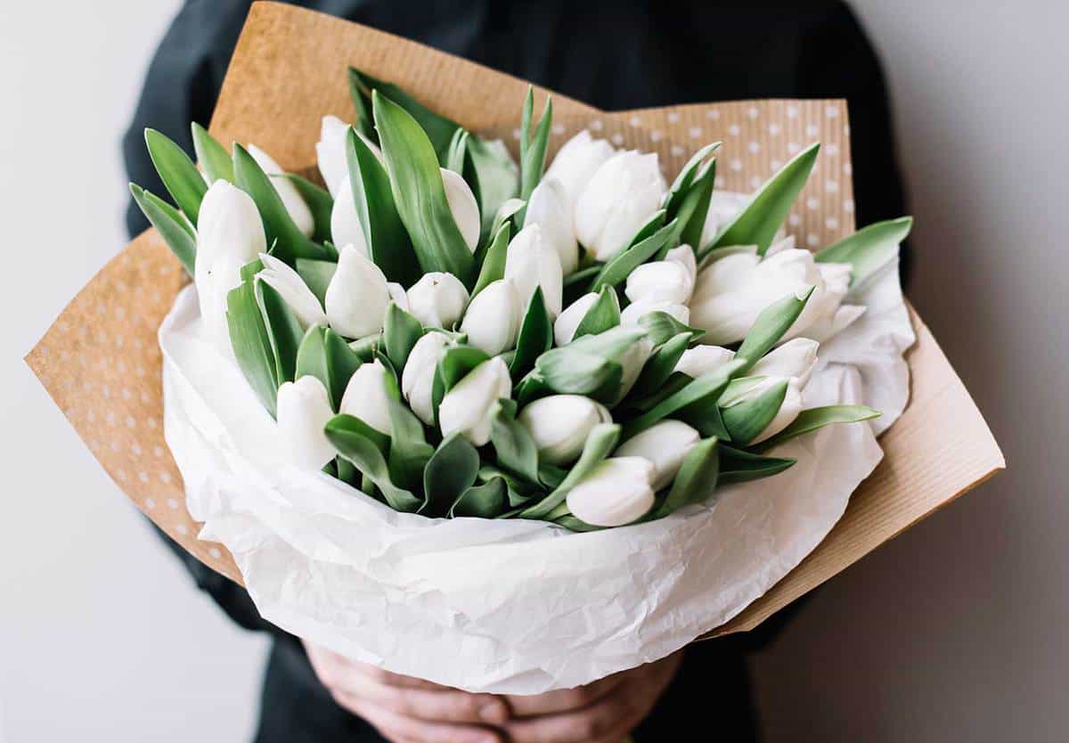 Blossoming-flower-bouquet-of-fresh-white-tulips