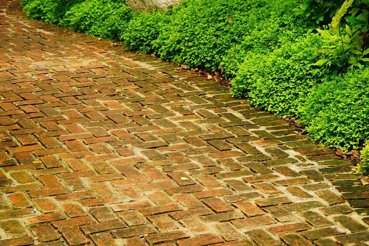 Brick garden path