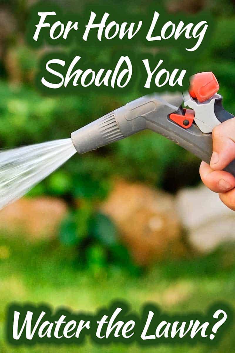 For How Long Should You Water A Lawn?