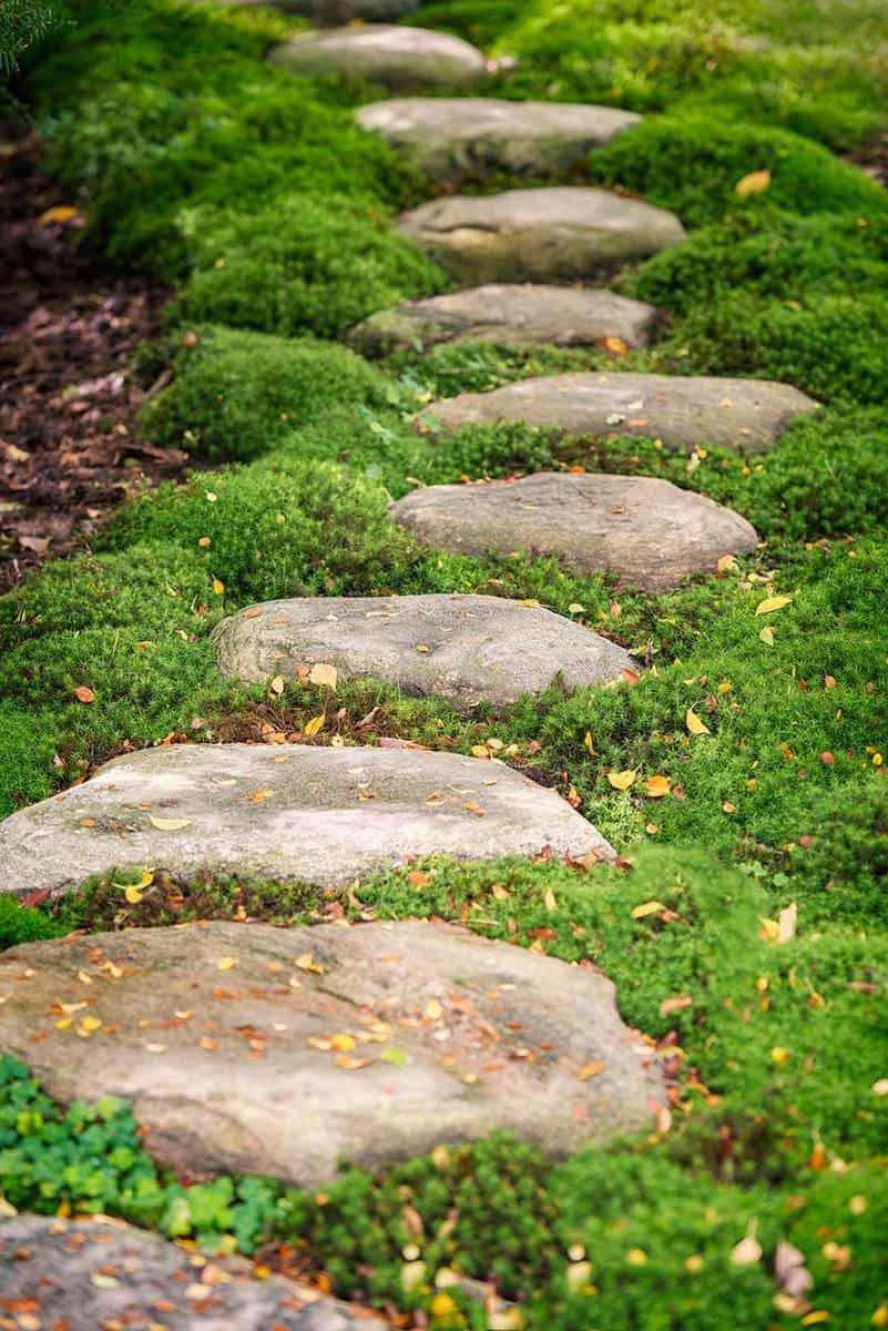 Garden path made of stones