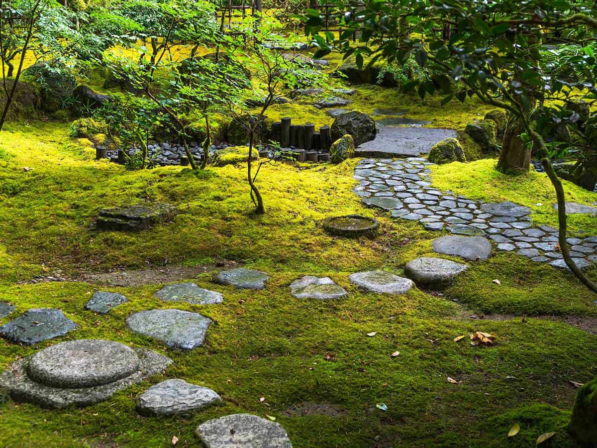 Green moss stone steps on a japanese garden