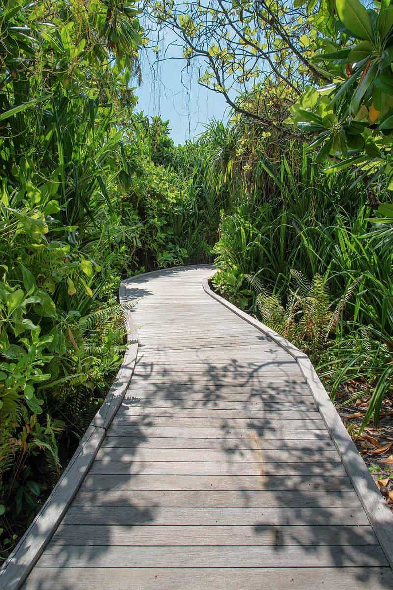Landscape view of tropical garden path
