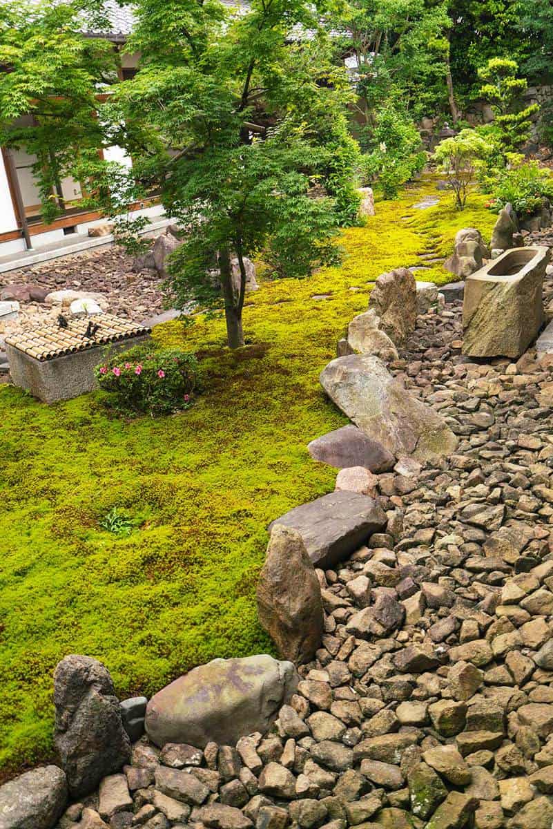 Mossy stone garden with water tank