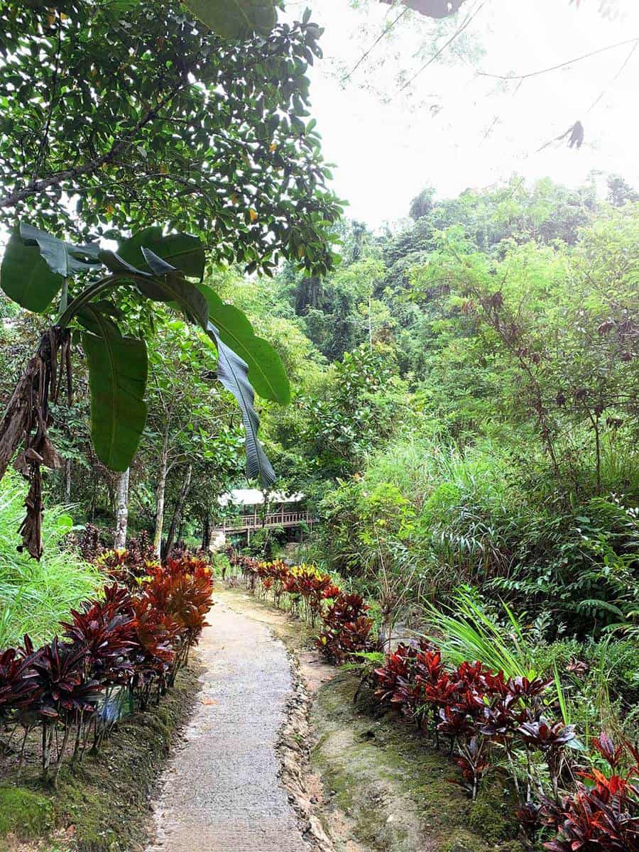 Path in a tropical park stock