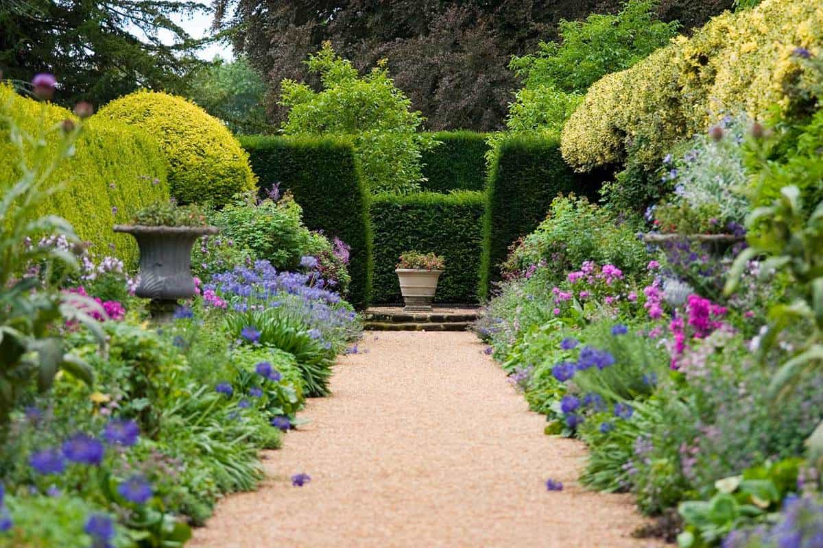 Pathway to a garden with tall and narrow shrubs