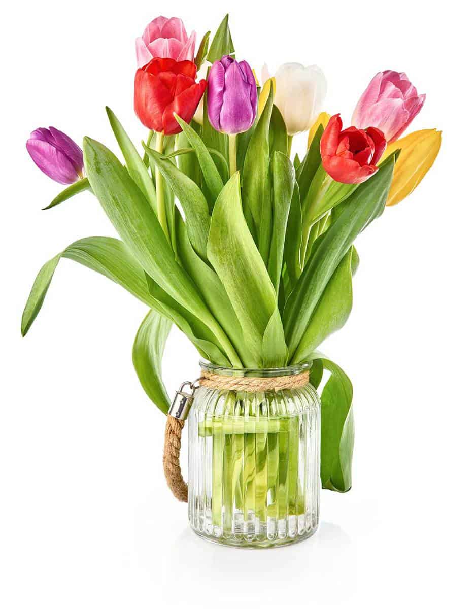 Spring-tulips-flowers-bouquet