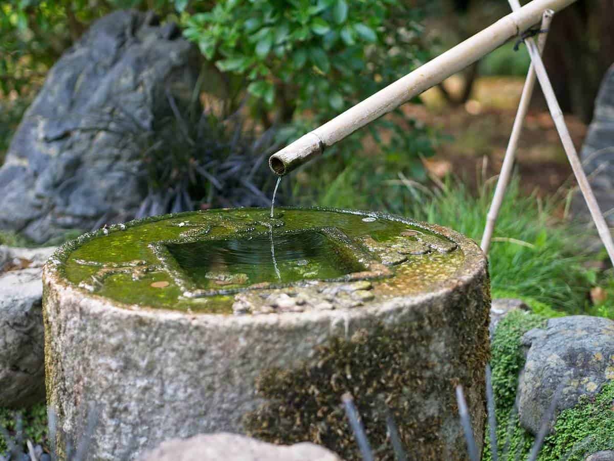 Stone washbasin and bamboo pipe at a japanese garden
